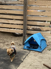 Cargar imagen en el visor de la galería, Carpa Para Mascotas Agner
